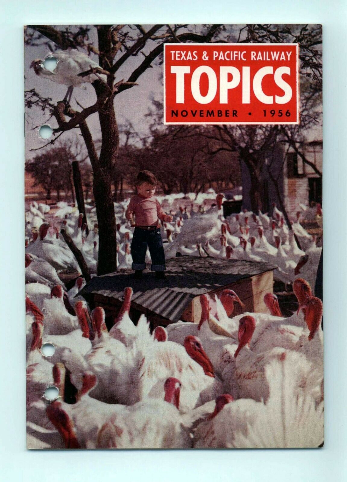 Texas & Pacific Railroad "Topics" November 1956