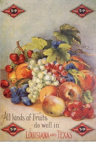 Company Ad