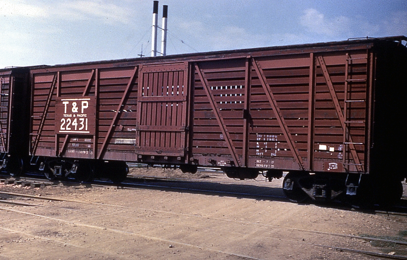 22431