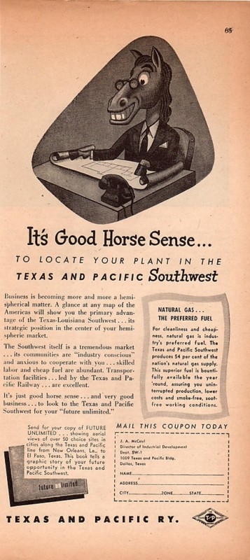 Horse Sense