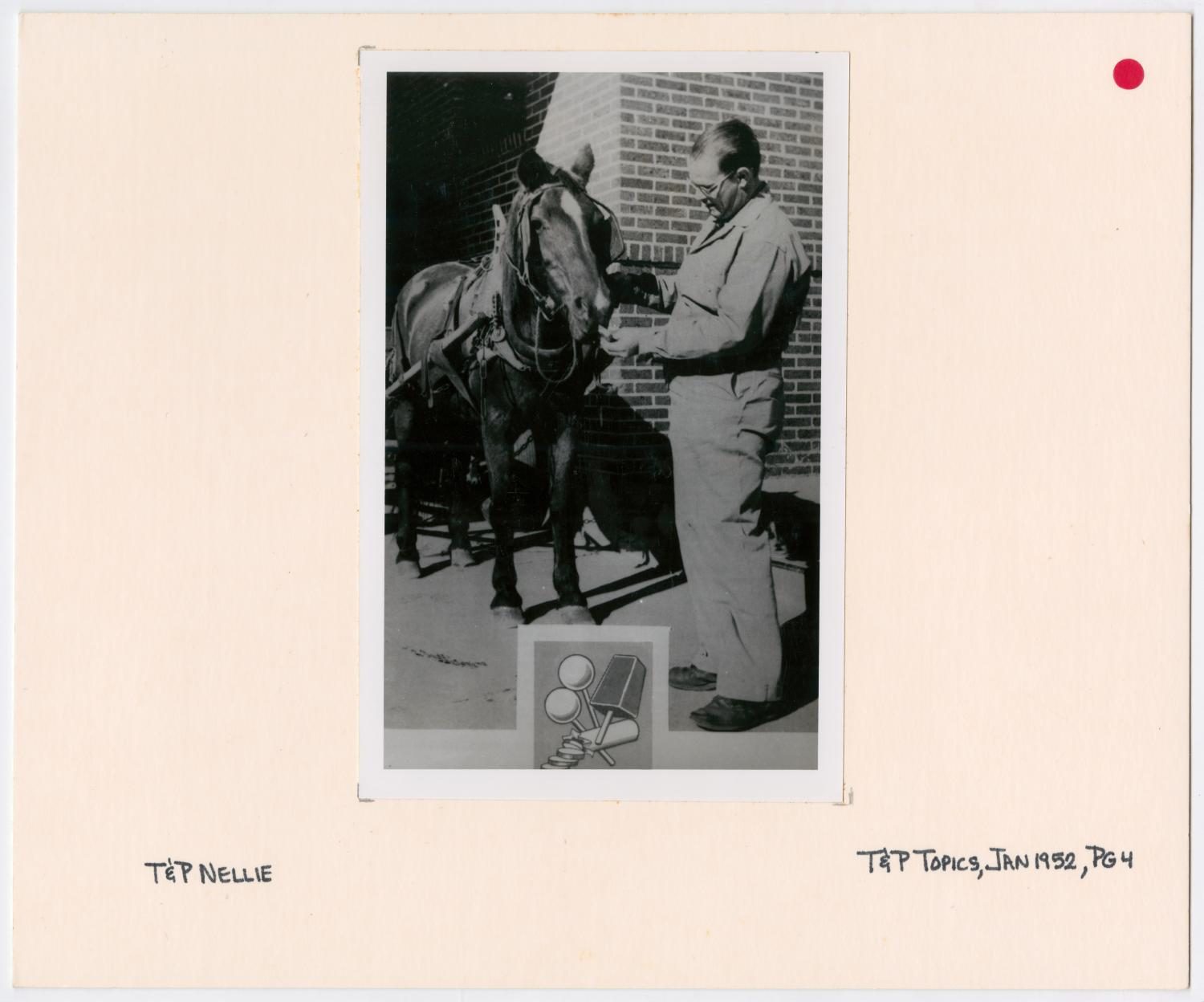 T&P Horse with Handler