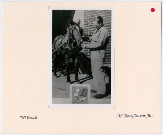 T&P Horse with Handler