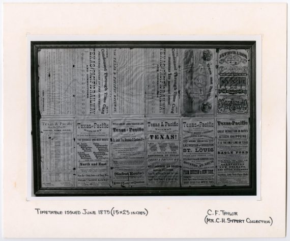 T&P Timetable