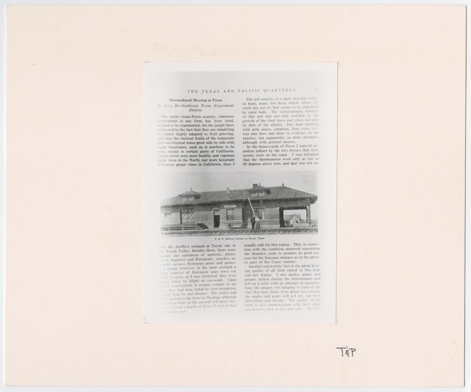 T&P Quarterly Horticulture Article
