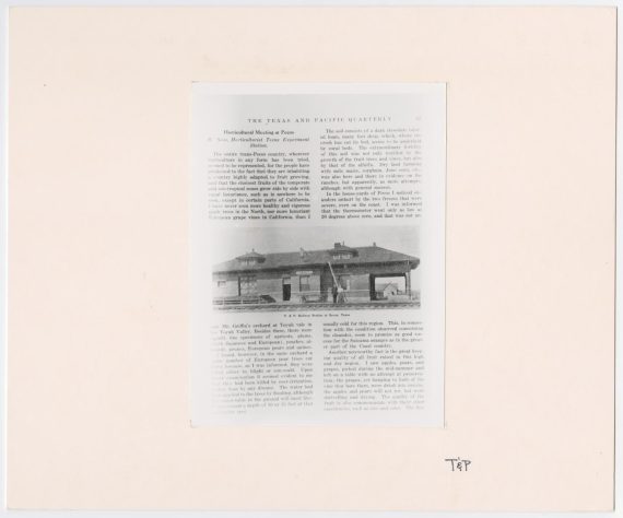 T&P Quarterly Horticulture Article