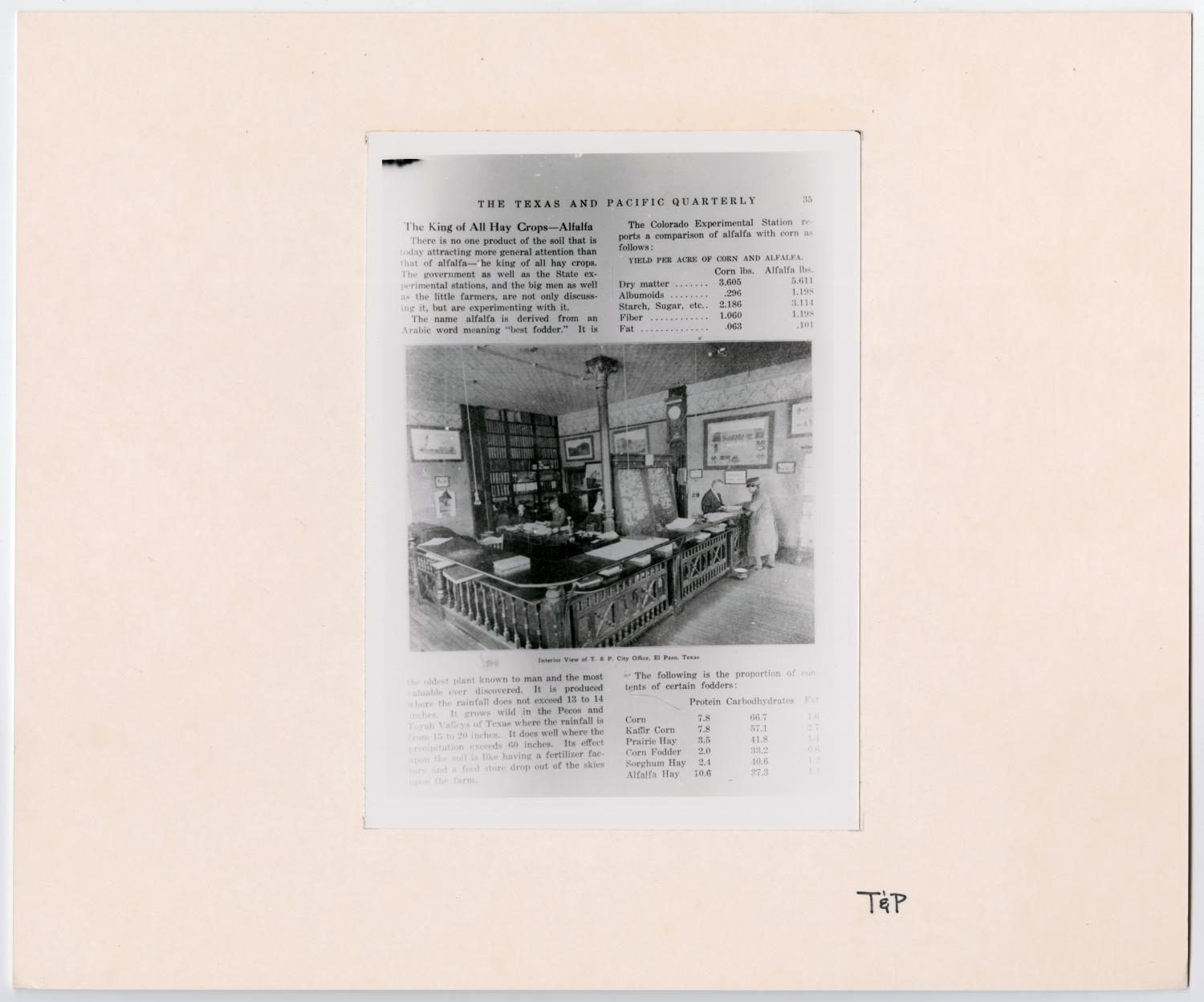 T&P Quarterly Alfalfa Article