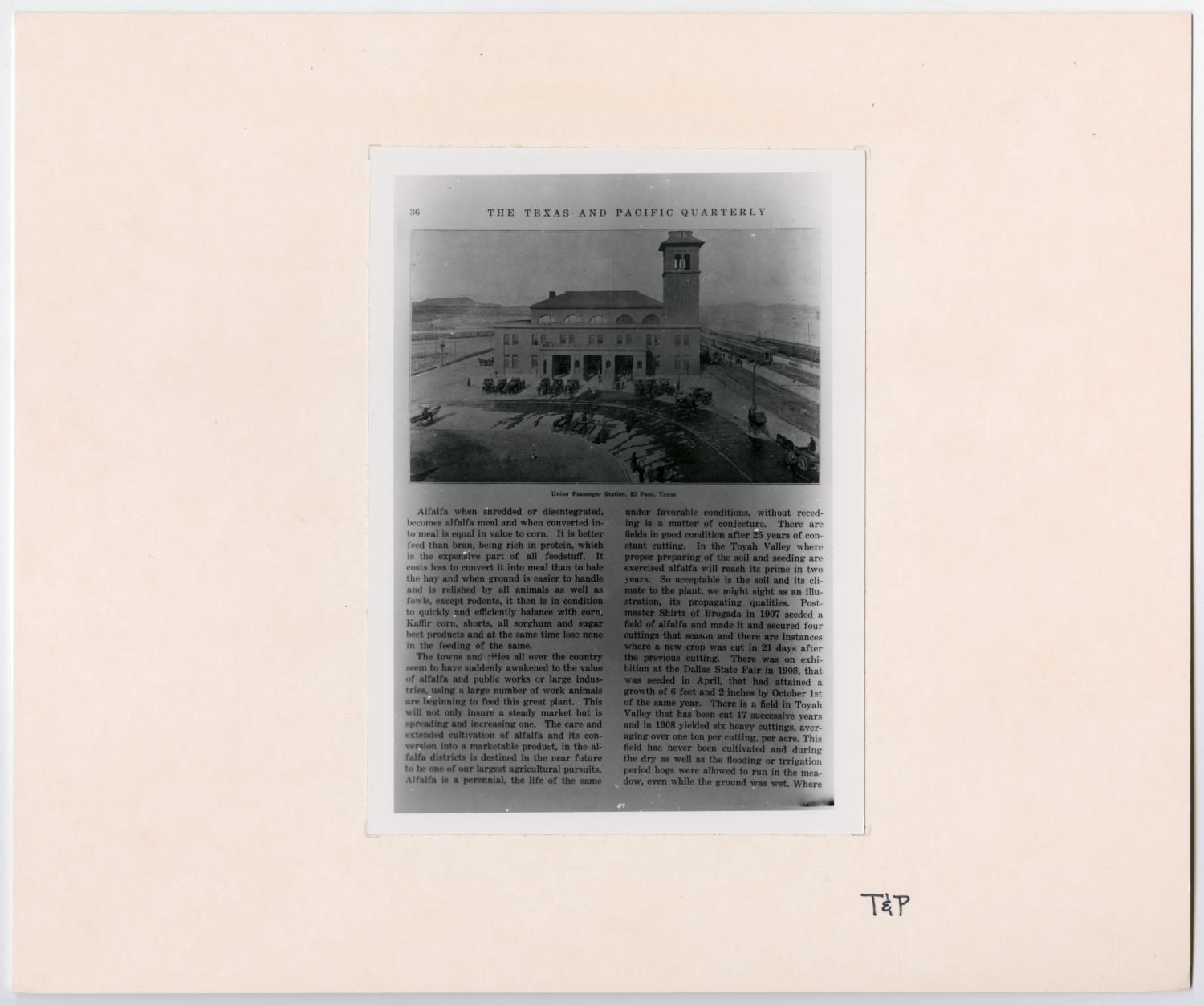 T&P Quarterly Alfalfa Article