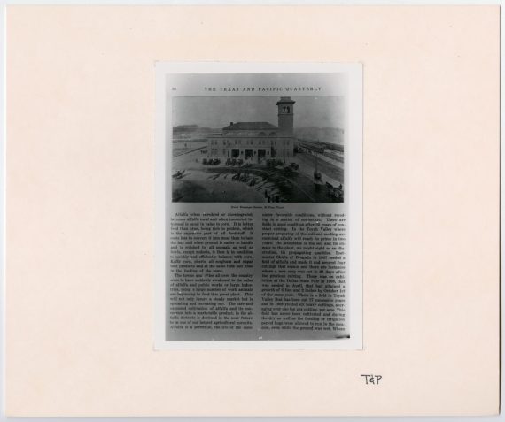 T&P Quarterly Alfalfa Article